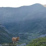 Nucleo De La Corte 3* Villar de Vildas